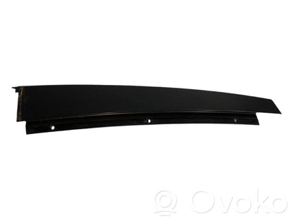 Rear door glass trim