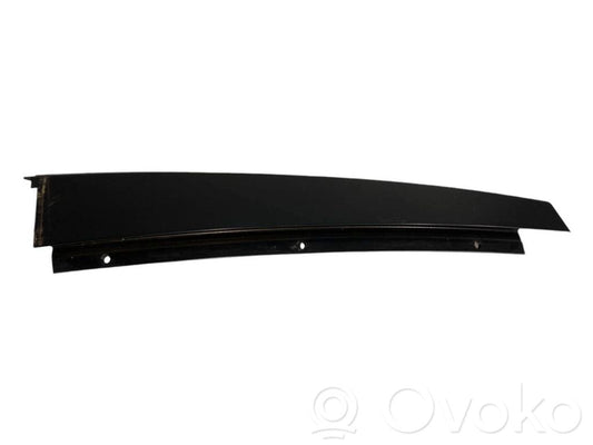 Rear door glass trim