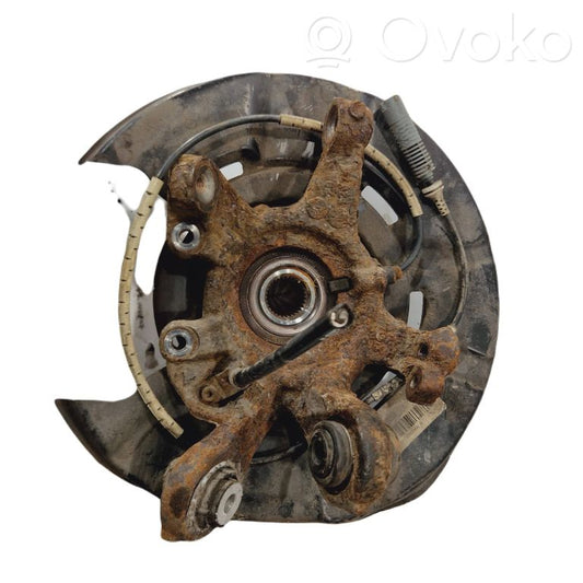 Rear wheel hub shaft joint (stupica, capfa)