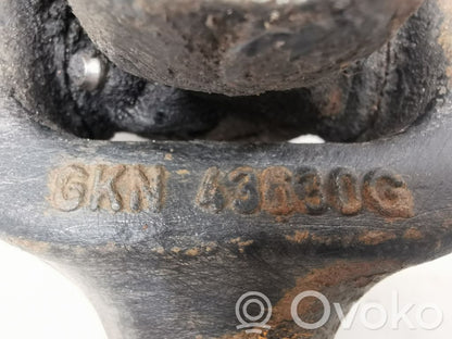 Aizmugurējā pusass