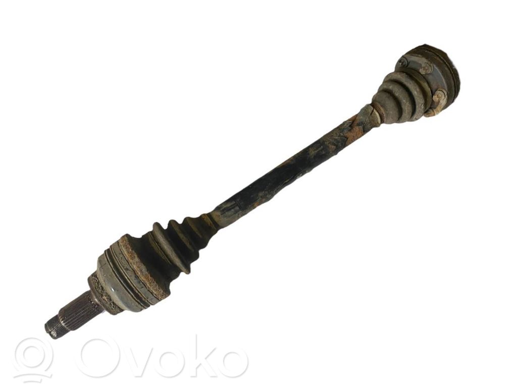 Aizmugurējā pusass