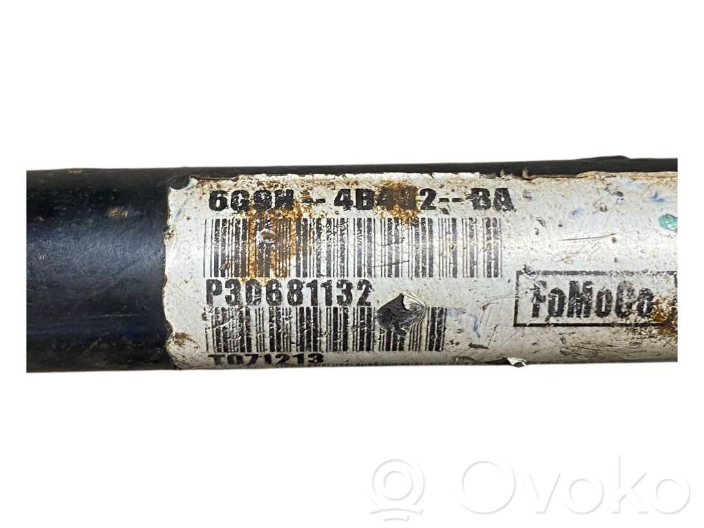 Aizmugurējā pusass