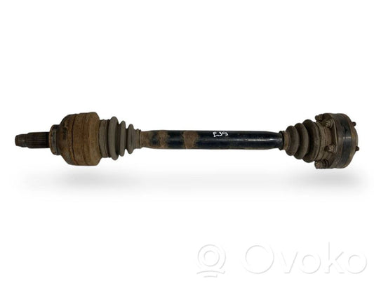 Aizmugurējā pusass