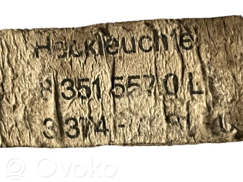 Taillight in the body