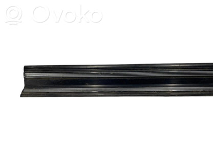 Front sill trim (inner)