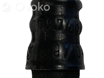 Degvielas caurulīte (-es)