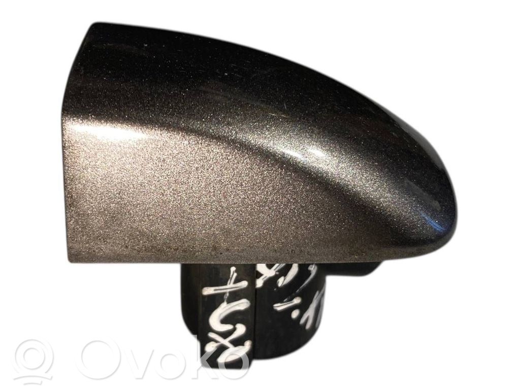 Aizmugurē durvju roktura vāciņš