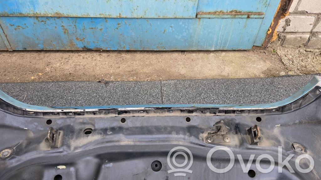 Dzinēja pārsegs (vāks)