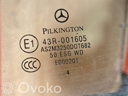 Aizmugurējās durvis