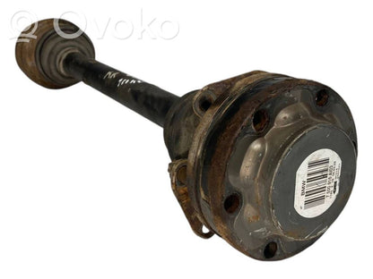 Aizmugurējā pusass