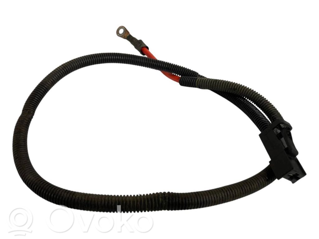 Plusa vads (akumulatora)