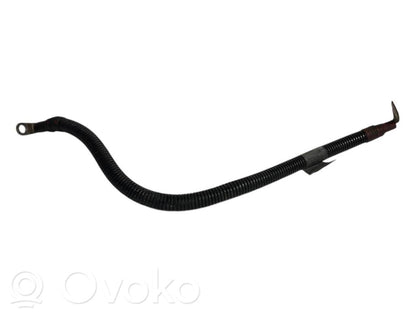 Plusa vads (akumulatora)