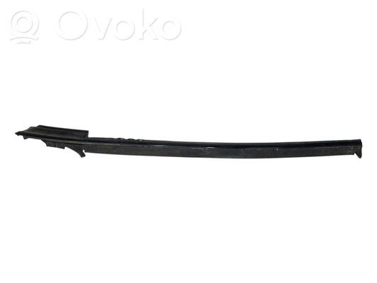 Rear door glass trim