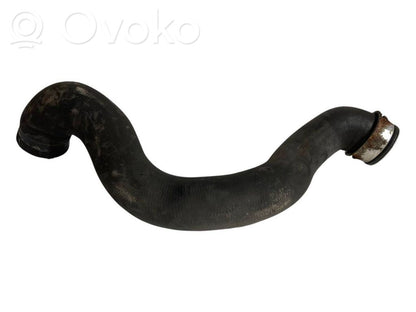 Caurulīte (-es) / šļūtene (-es)