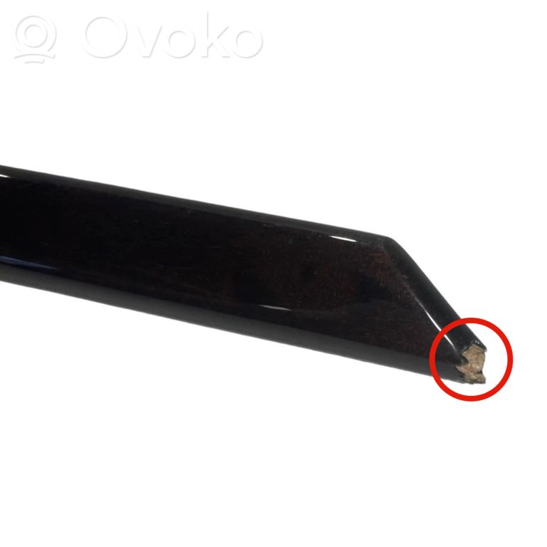 Apšuvums aizmugurējām durvīm