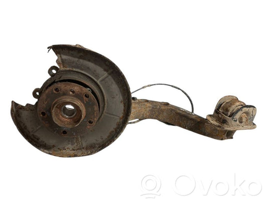 Rear wheel hub shaft joint (stupica, capfa)