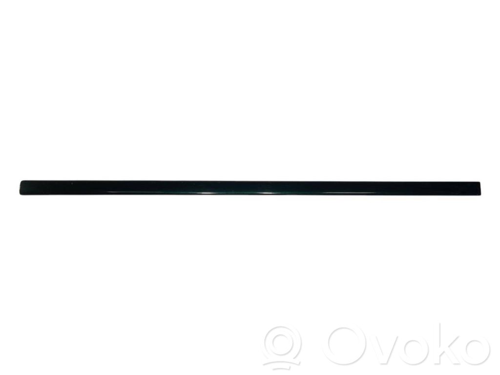 Priekšpusē durvju dekoratīvā apdare (moldings)