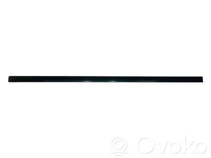 Priekšpusē durvju dekoratīvā apdare (moldings)