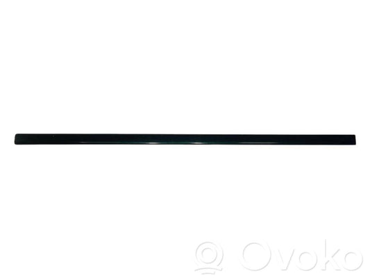 Priekšpusē durvju dekoratīvā apdare (moldings)