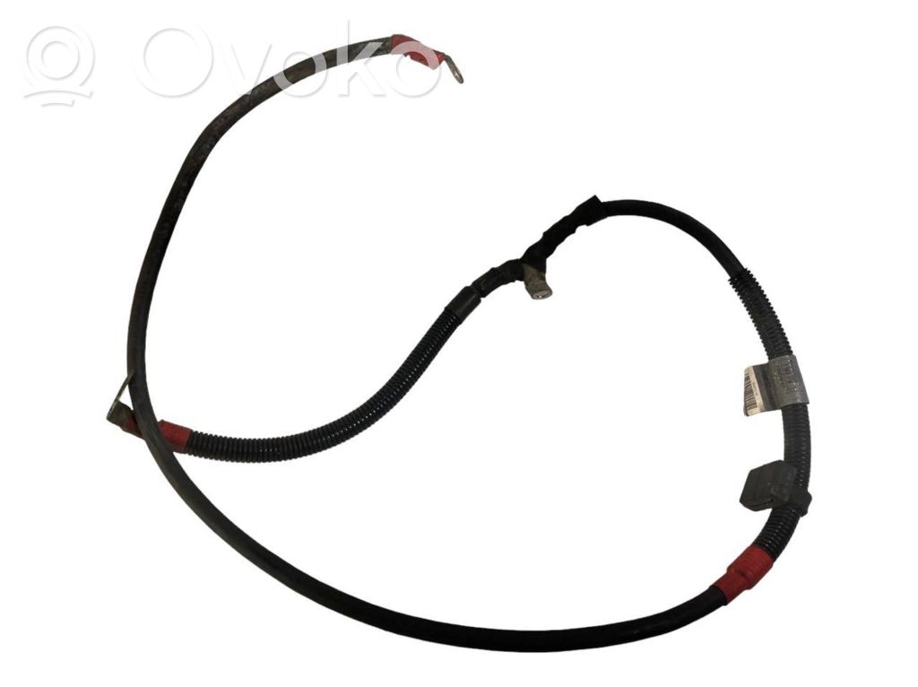 Plusa vads (akumulatora)