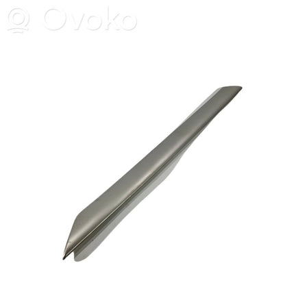 Rear door decorative trim (moulding)
