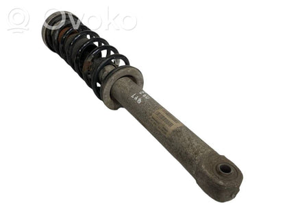 Rear shock absorber with spring