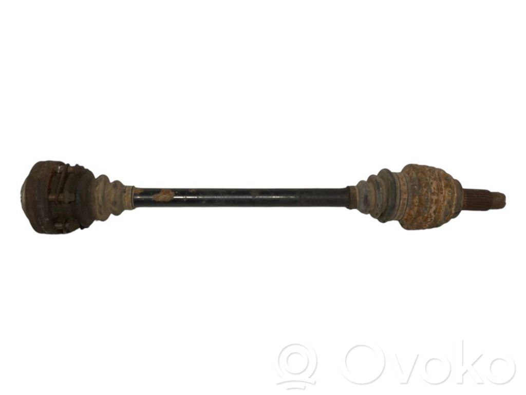 Aizmugurējā pusass