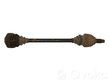 Aizmugurējā pusass