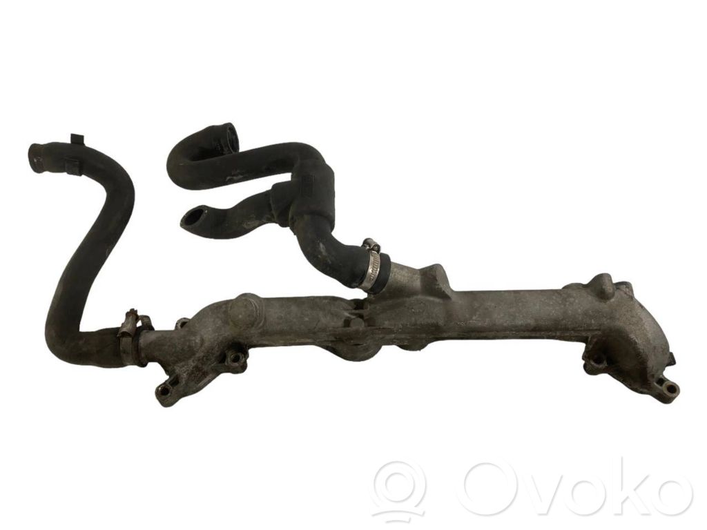 Caurulīte (-es) / šļūtene (-es)