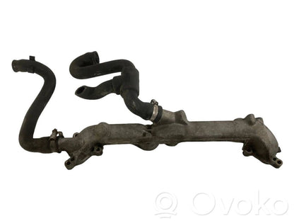 Caurulīte (-es) / šļūtene (-es)