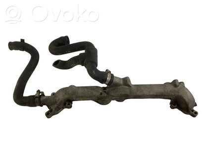 Caurulīte (-es) / šļūtene (-es)