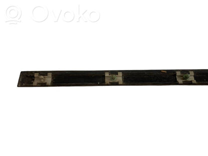 Aizmugurē durvju dekoratīvā apdare (moldings)