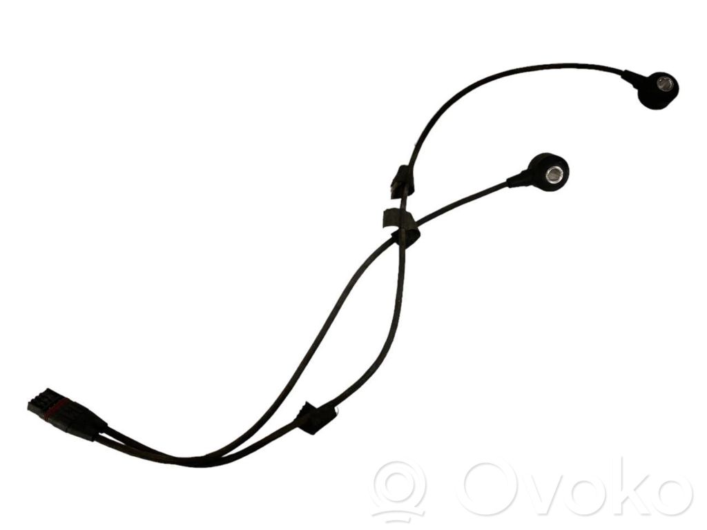 Detonācijas sensors