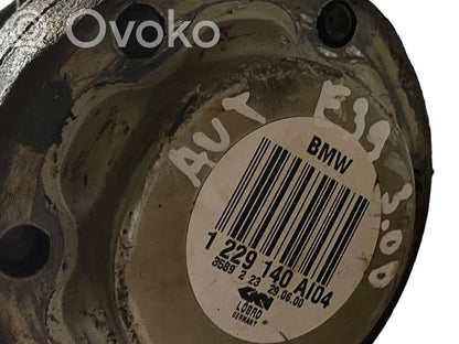 Aizmugurējā pusass