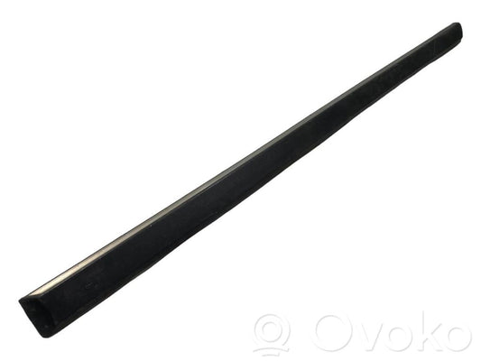 Rear door decorative trim (moulding)