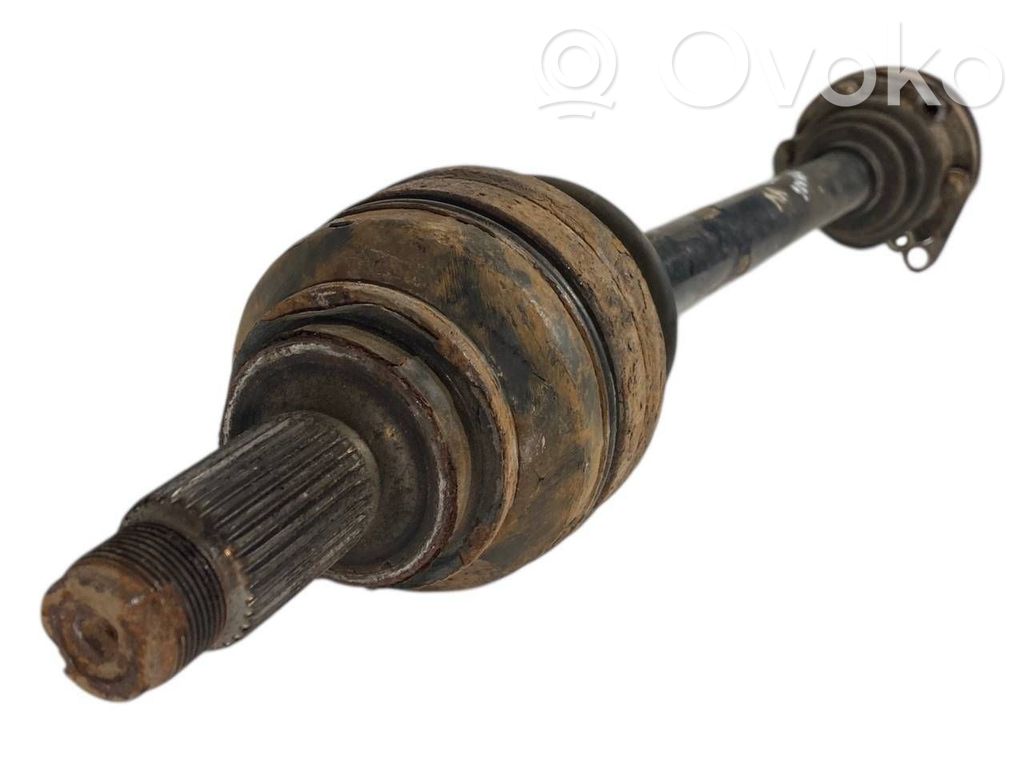 Aizmugurējā pusass