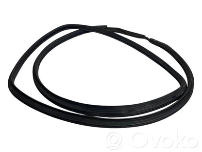 Aizmugurē apdares gumija (virsbūvē)