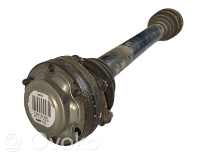 Aizmugurējā pusass