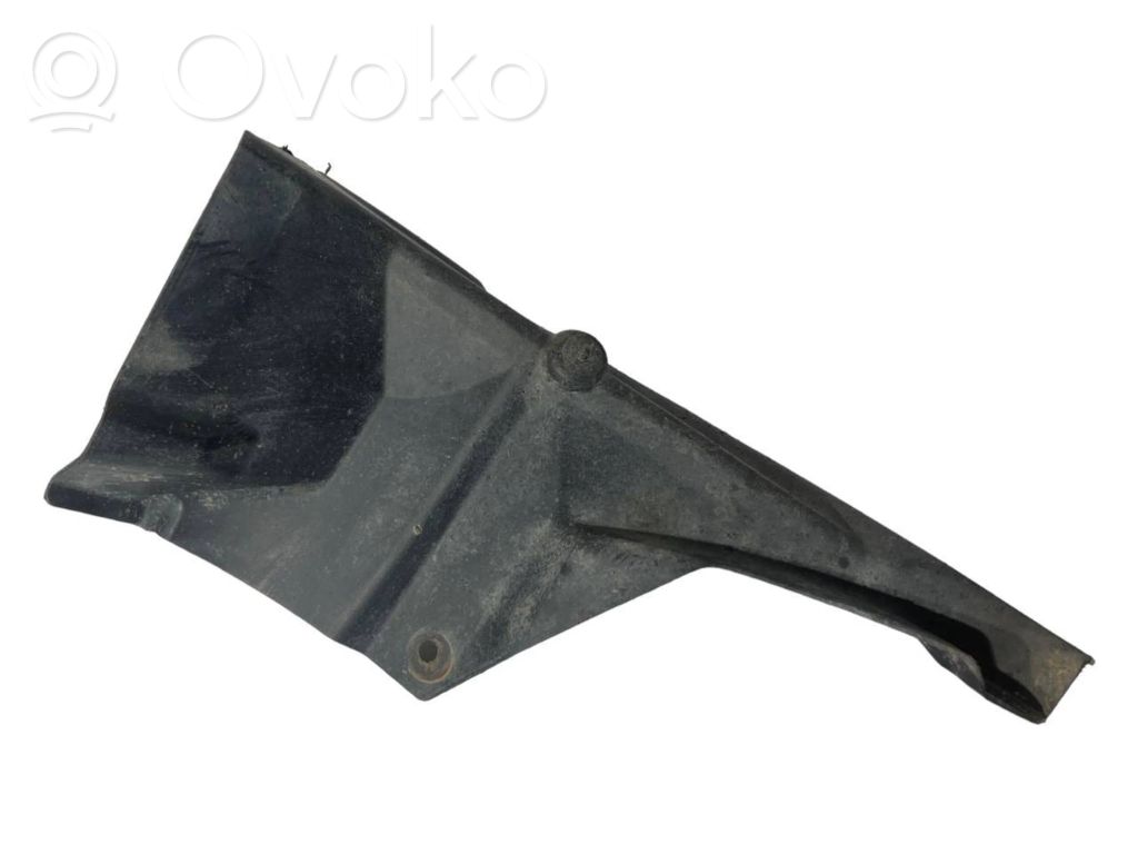 Under engine guard (front)