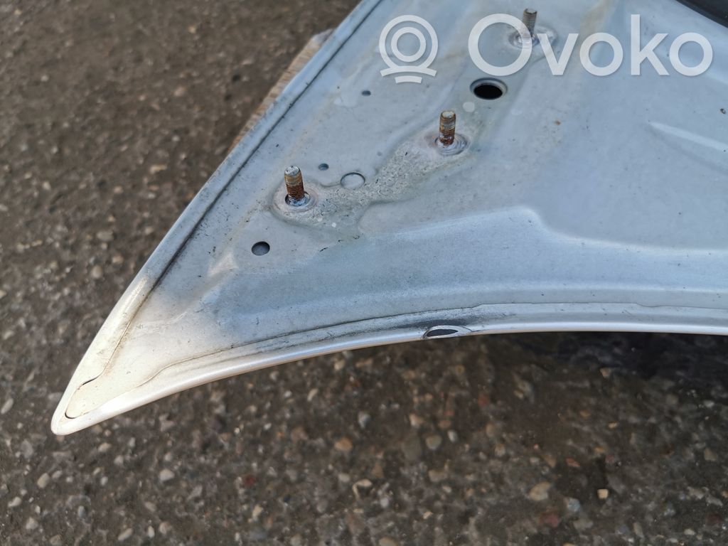 Dzinēja pārsegs (vāks)