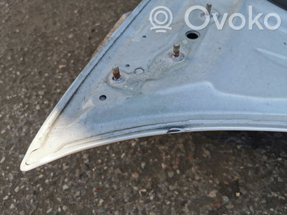 Dzinēja pārsegs (vāks)