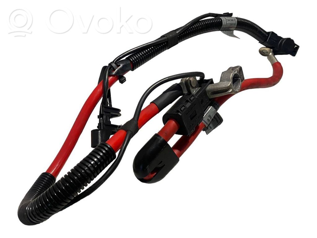 Plusa vads (akumulatora)