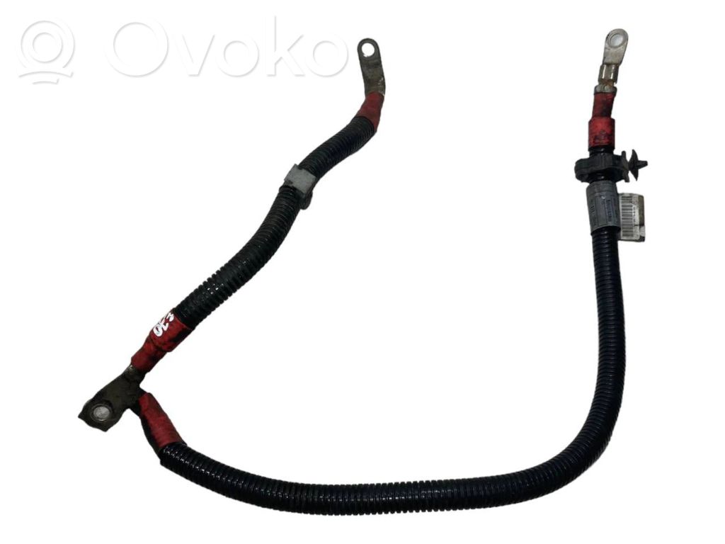 Plusa vads (akumulatora)