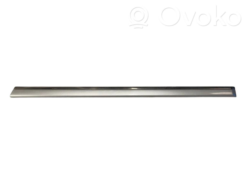 Aizmugurē durvju dekoratīvā apdare (moldings)