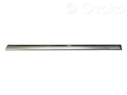 Aizmugurē durvju dekoratīvā apdare (moldings)