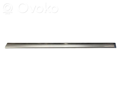 Rear door decorative trim (moulding)