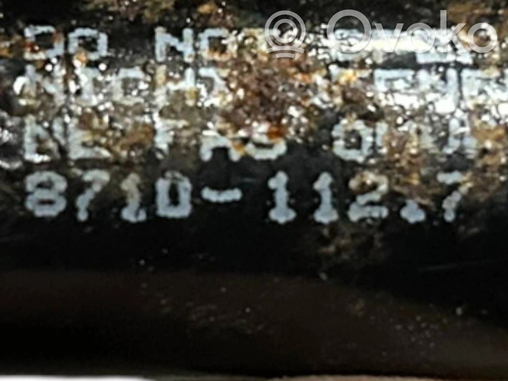 Bagāžnieka dekoratīvā apdare