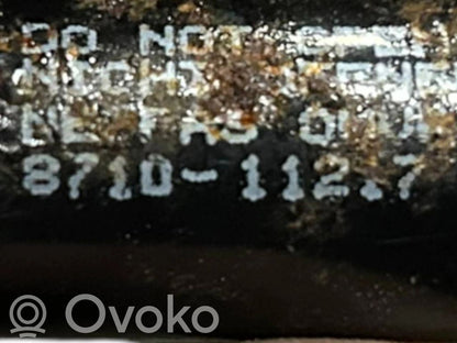 Bagāžnieka dekoratīvā apdare