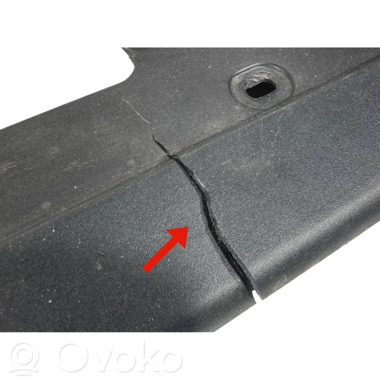 Panel decorative trim shield (lower)