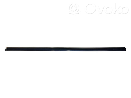Priekšpusē durvju dekoratīvā apdare (moldings)